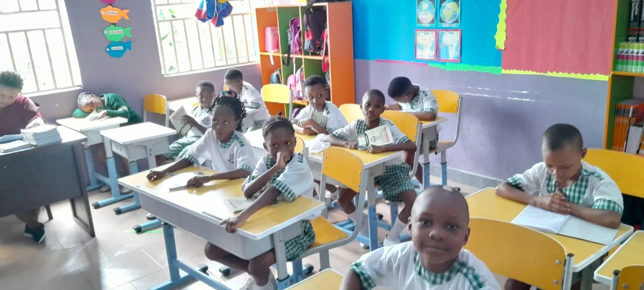 Somdal primary pupils engaged in classroom learning